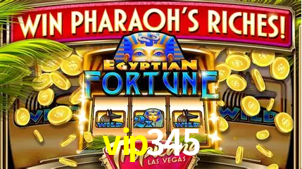 Descubra o Mundo do Cassino Online com vip345